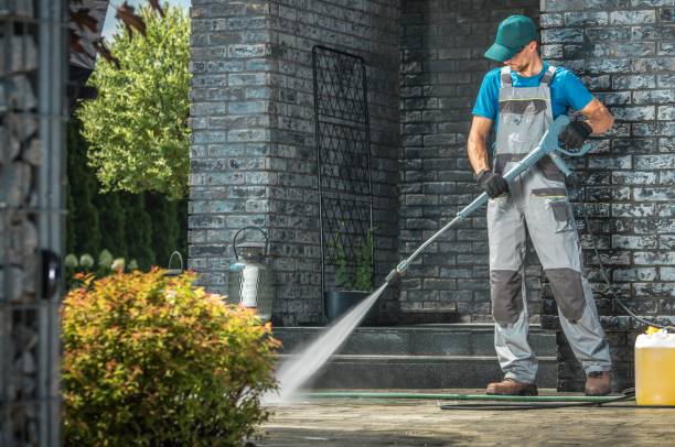 Best Sidewalk and Walkway Cleaning  in Holt, MI